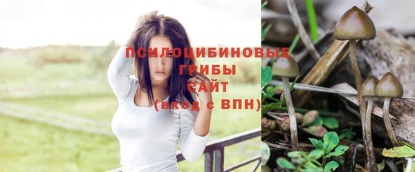 Альфа ПВП Беломорск