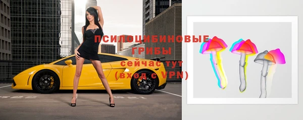 марки lsd Богданович
