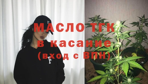 молекула духа Богородицк