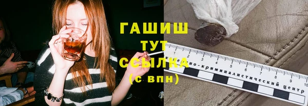 молекула духа Богородицк