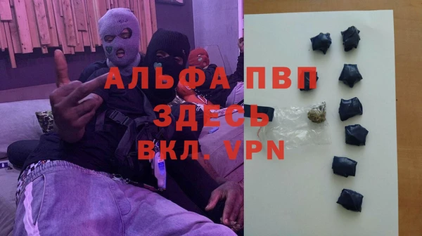 молекула духа Богородицк