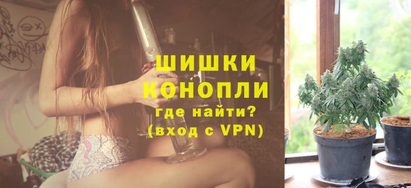 молекула духа Богородицк